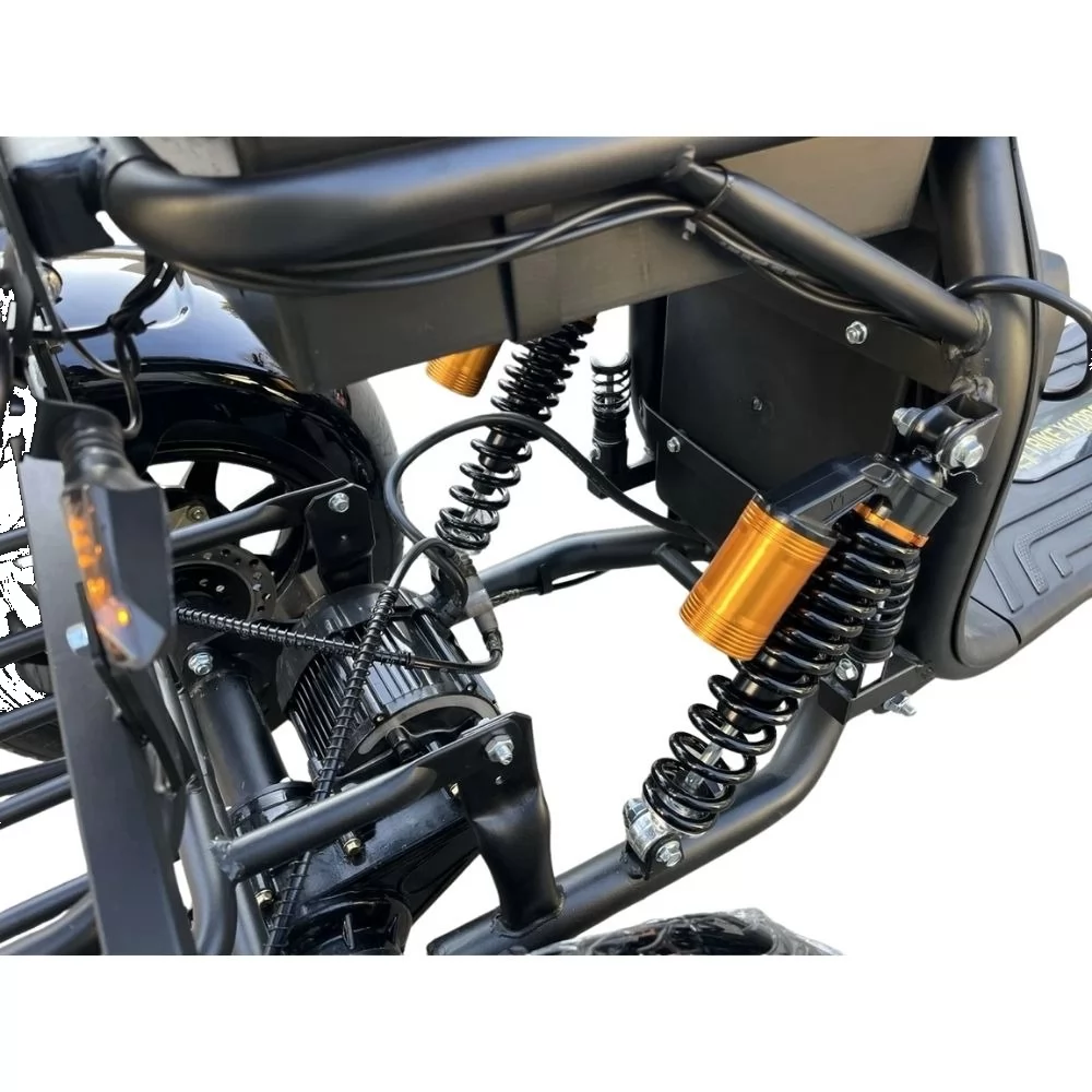 Купить электроскутер TERAX CityTrike X12 (Х2) Электроскутер TERAX CityTrike X12 (Х2)