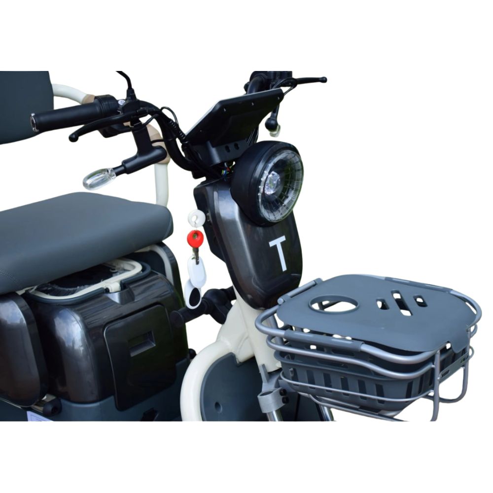 Электротрицикл Terax СОЮЗ NS-X3