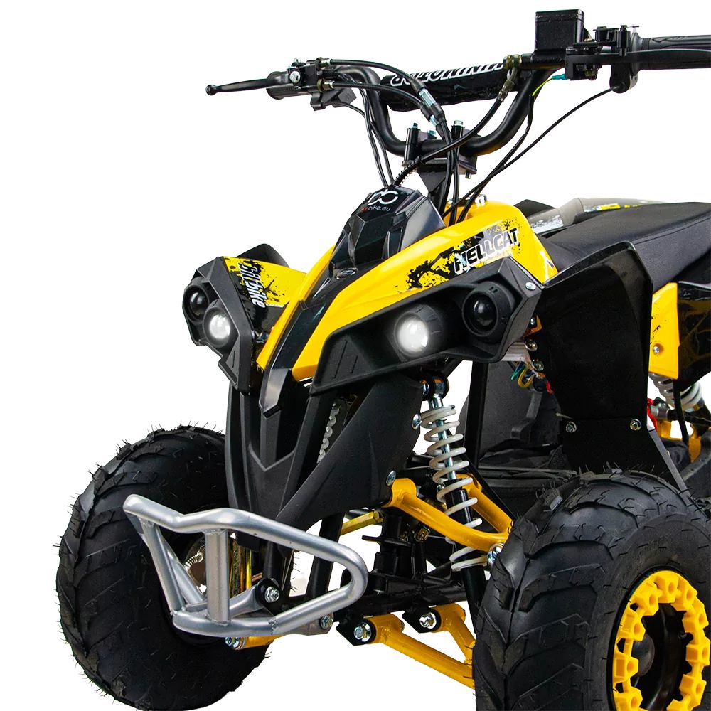 Электрический квадроцикл QMC Renegatre 48V 1200W shaftdrive