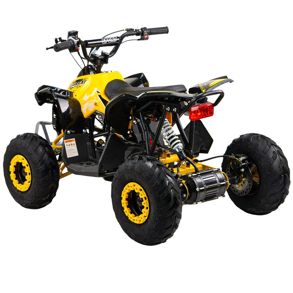 Электрический квадроцикл QMC Renegatre 48V 1200W shaftdrive