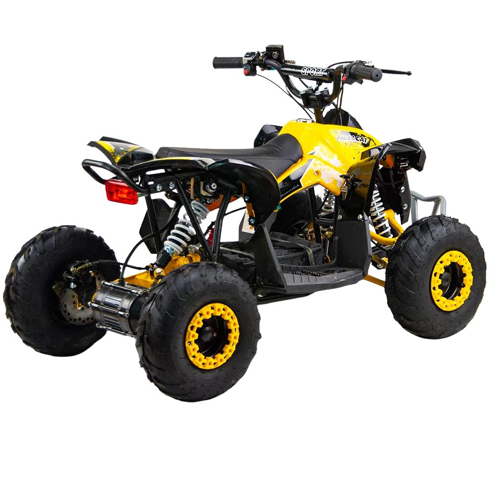 Электрический квадроцикл QMC Renegatre 48V 1200W shaftdrive