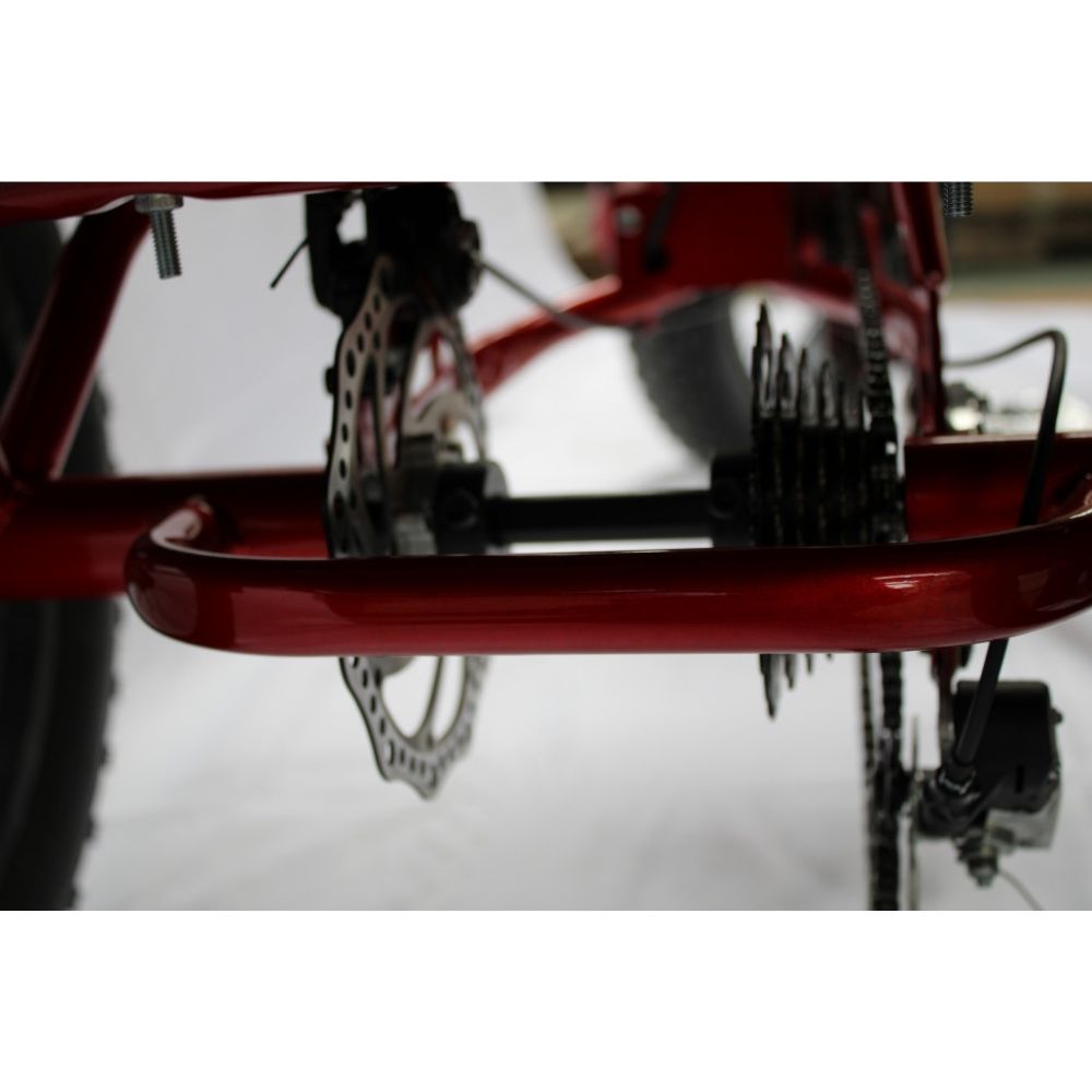 Электровелосипед GreenCamel Трайк-F20