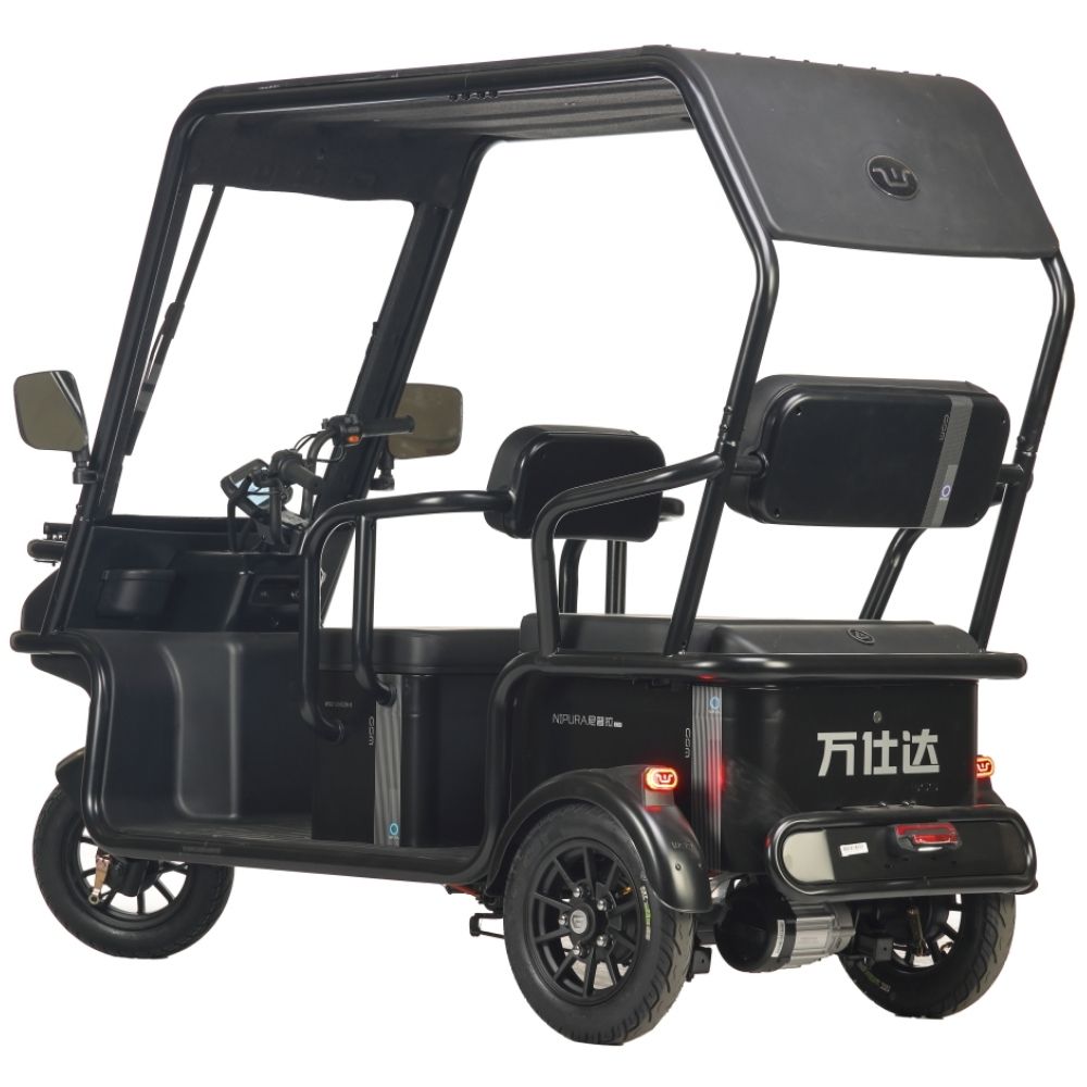 Электротрицикл Wanshida NIPLA 570 60V 1000Вт
