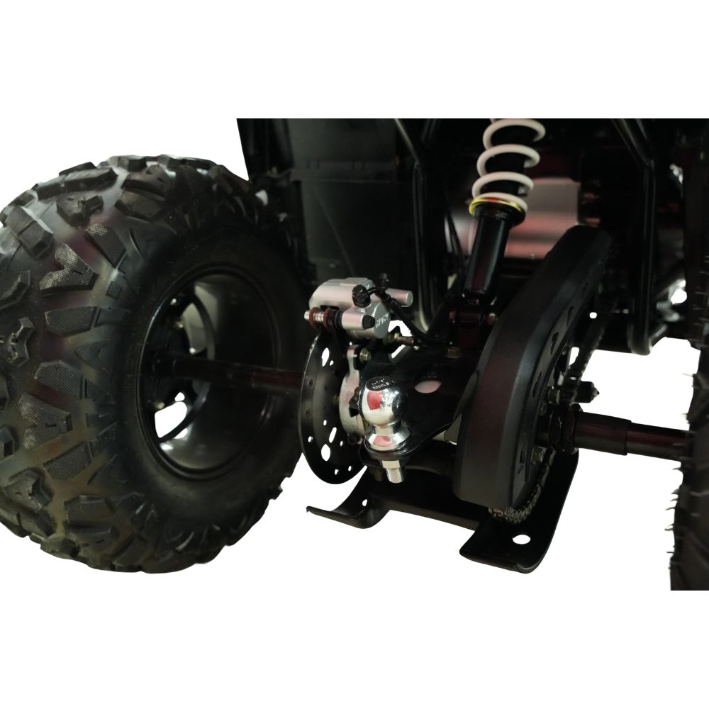 Купить квадроцикл MOTAX GRIZLIK T250 PRO Квадроцикл MOTAX GRIZLIK T250 PRO