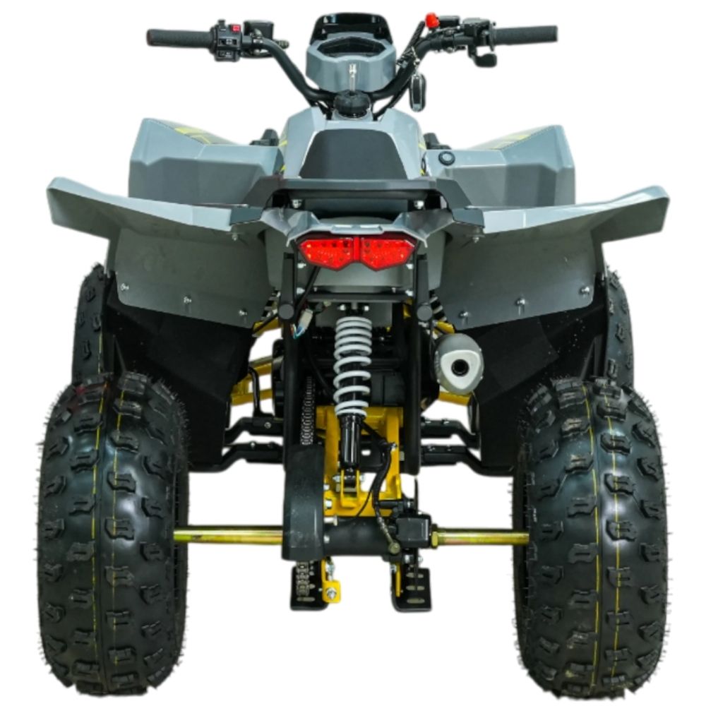 Квадроцикл бензиновый MOTAX GRIZLIK RAPTOR D125