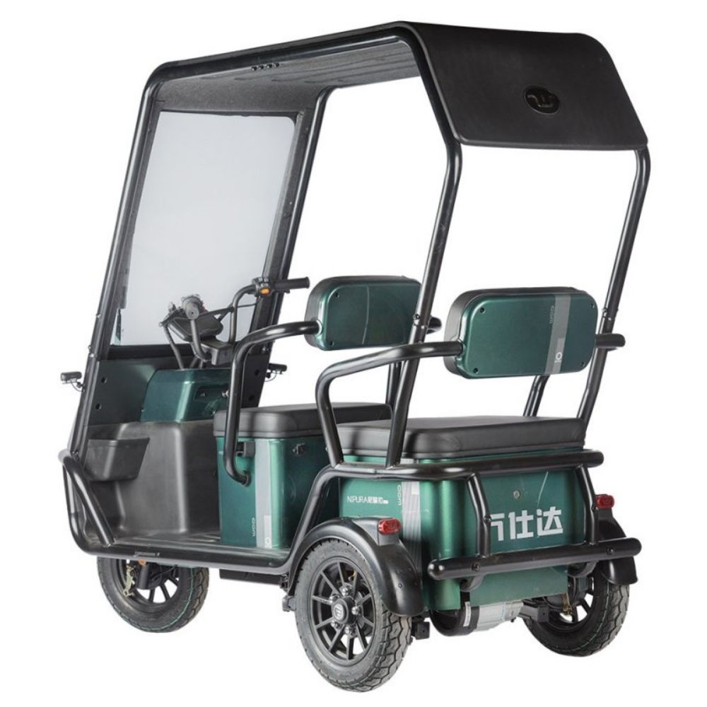 Купить электротрицикл Wanshida NIPLA 500 60V 1000Вт Электротрицикл Wanshida NIPLA 500 60V 1000Вт