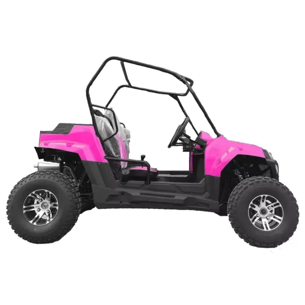 Купить багги HOOLEOX 150 Багги HOOLEOX 150