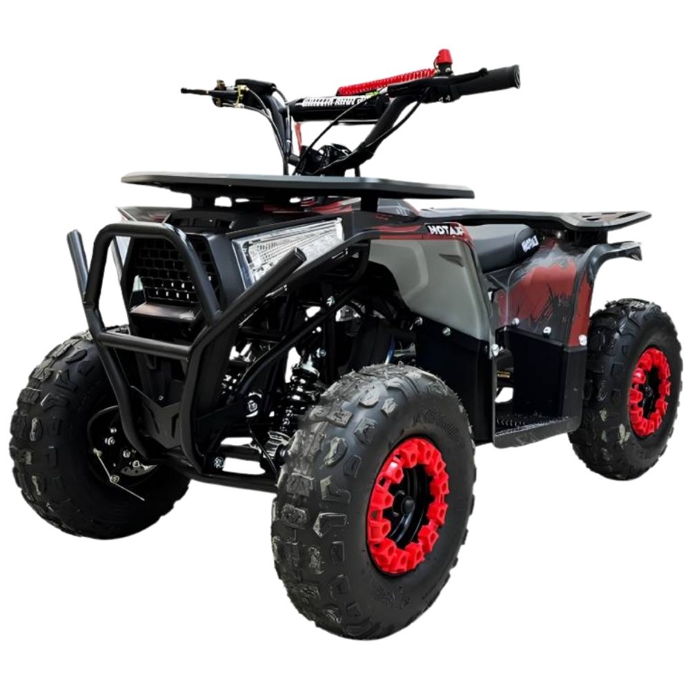 Детский квадроцикл Motax Grizlik Mini Ps Bw