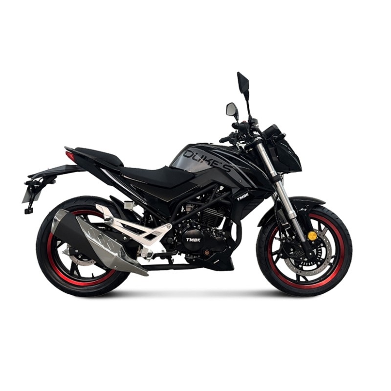 Мотоцикл TMBK DUKES 200