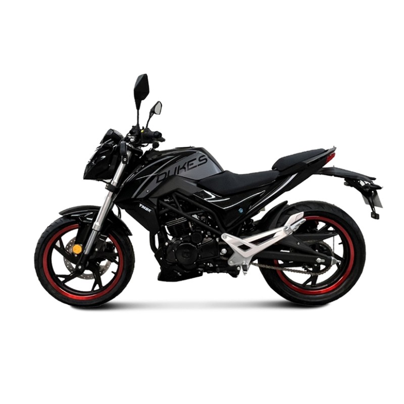 Мотоцикл TMBK DUKES 200