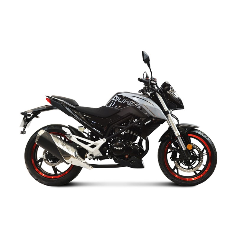 Мотоцикл TMBK DUKES 200