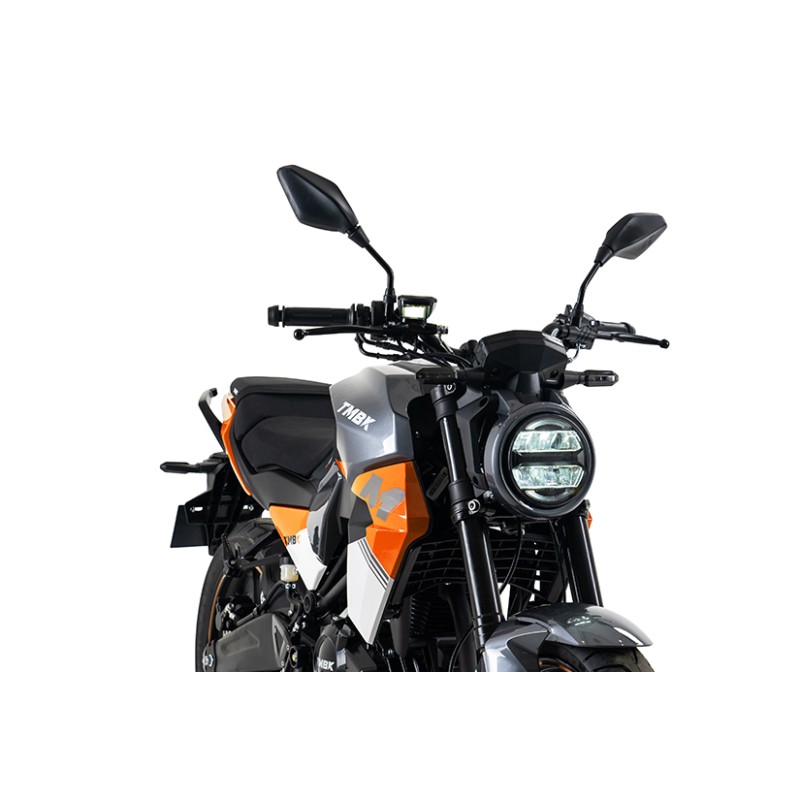 Мотоцикл TMBK MONTANA 250 NG