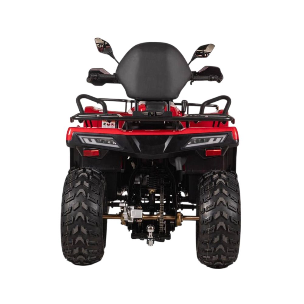 Электроквадрицикл Bizon YK250EL LUX Купить электроквадрицикл Bizon YK250EL LUX