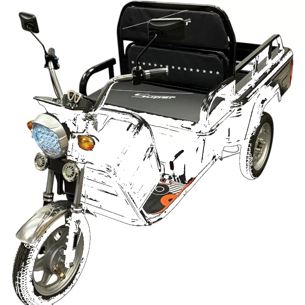 Грузовой электротрицикл BNP Zevs ULTRA MINI