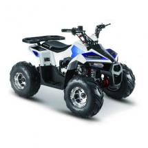 Квадроцикл MMG ATV MudHawk 110cc  (2022)