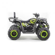 Квадроцикл Motoland Wild Track 200cc