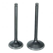 Комплект клапанов 161QMK-B2 200cc +R