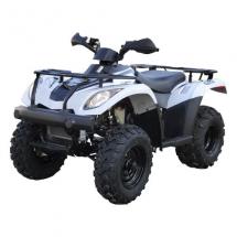 Квадроцикл Linhai LH300b 2х4