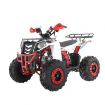 Квадроцикл WELS THUNDER EVO 125cc