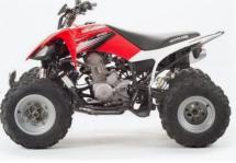 Квадроцикл Motoland 250 S 