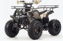 Квадроцикл Motoland Fox 125cc (мотокомплект)