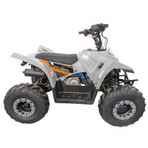 Квадроцикл Regulmoto SK11 110сс