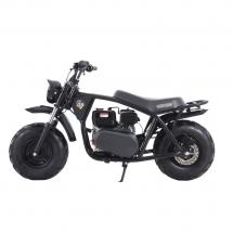 Купить минибайк Lucky Duck Ranger RB200 PRO Минибайк Ranger Lucky Duck RB200 PRO