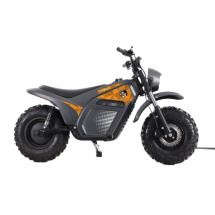 Электрический минибайк Lucky Duck EXR200