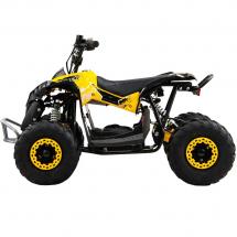 Электрический квадроцикл QMC Renegatre 48V 1200W shaftdrive