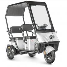 Электротрицикл Wanshida NIPLA 500 60V 1000Вт