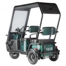 Электротрицикл Wanshida NIPLA 500 60V 1000Вт